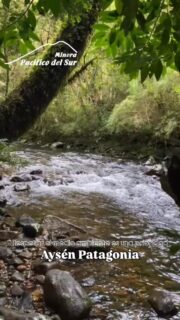 Respetar el medio ambiente es una prioridad.
#minera #minerapacíficodelsur #zinc #patagoniachilena #regióndeaysén