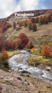Nuestra Patagonia nos regala estos paisajes sublimes que no podemos no compartir con nuestros seguidores.