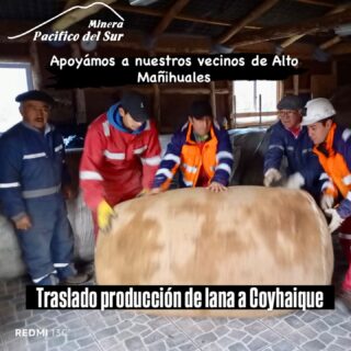 En un trabajo conjunto, como empresa y junto a nuestros vecinos de Alto Mañihuales, realizamos el traslado de su producción de lana a la ciudad de Coyhaique, donde es comercializada.

Como empresa apoyamos a nuestros vecinos, en un tema tan sensible como es el traslado de su producción anual.

Estamos siempre con ustedes